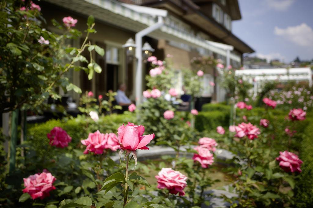 Landgasthof Hotel Roessli Ebikon Екстериор снимка